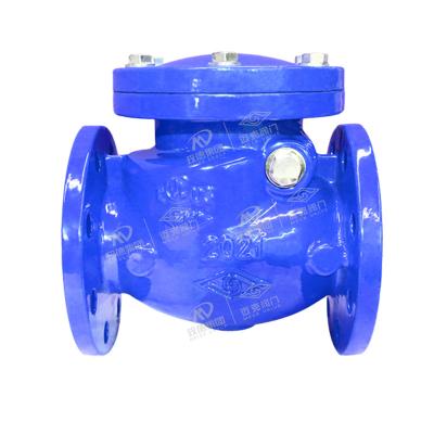 Soft seal swing check valve