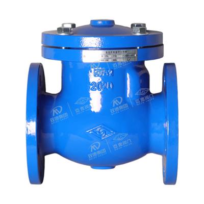 Soft seal swing check valve