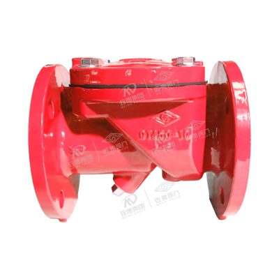 Rubber flap swing check valve