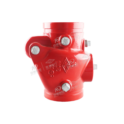 Grooved Swing Check Valve