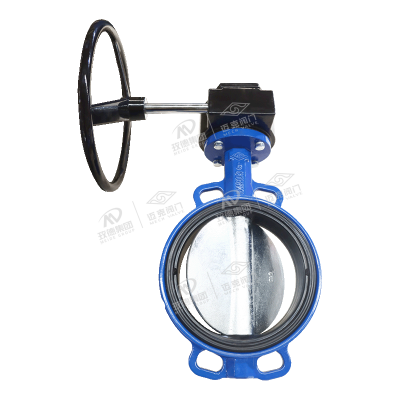 Center line clamped soft seal butterfly valve