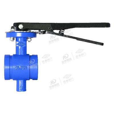 Center line groove soft seal butterfly valve