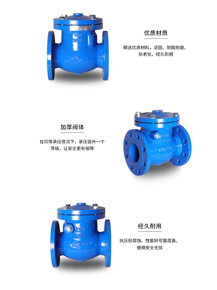 Soft seal swing check valve