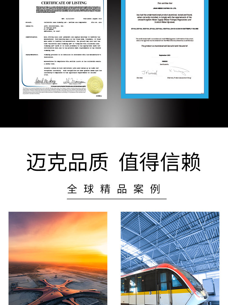 Silent check valve Silent check valve