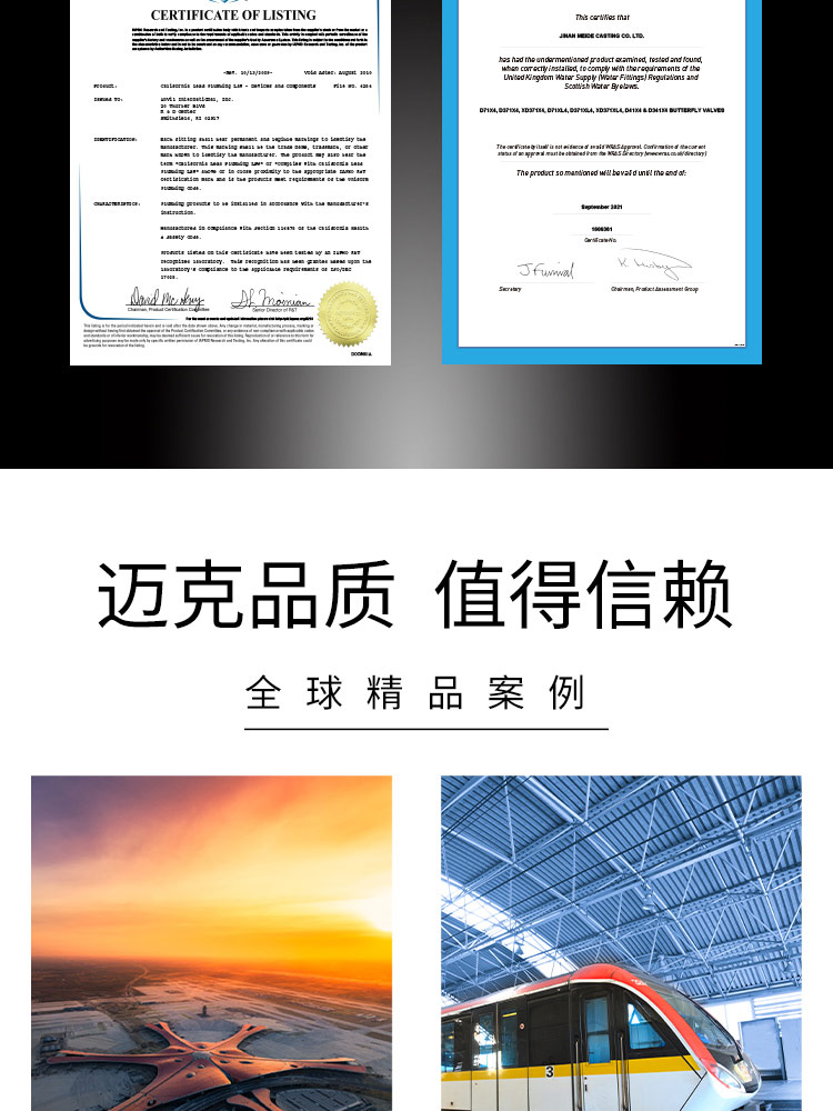 Wafer butterfly check valve Wafer butterfly check valve