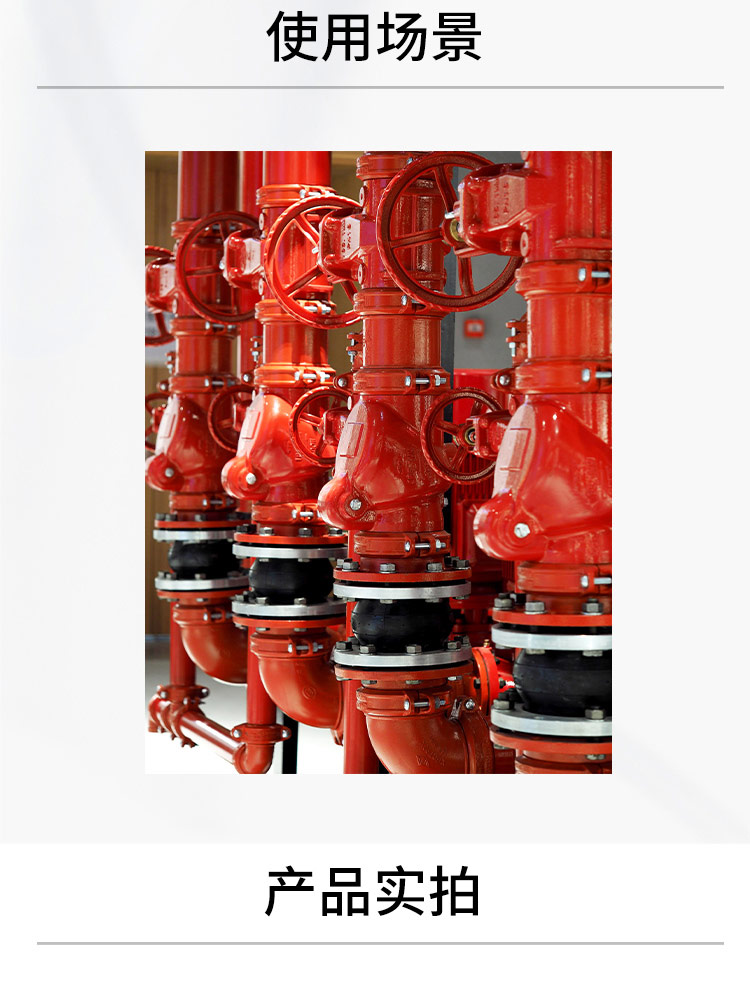 Rubber flap swing check valve Rubber flap swing check valve