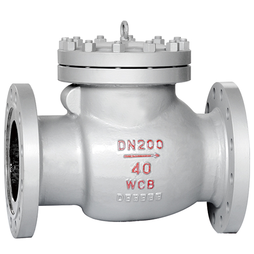 National Standard Swing Check Valve.jpg