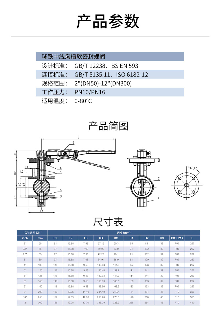 D81X4_05.jpg