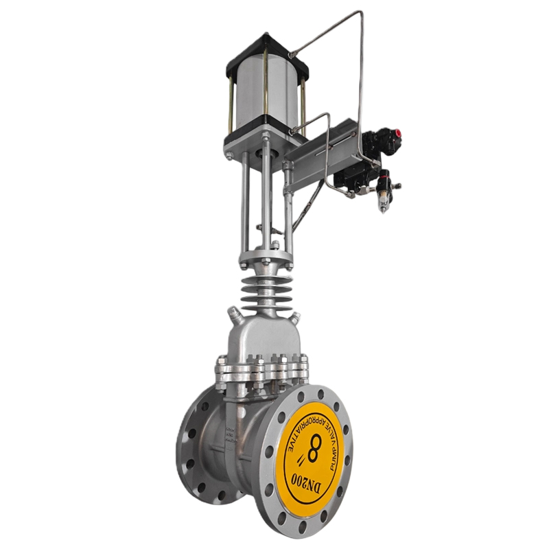 High temperature and high pressure hydrogenation gate valve